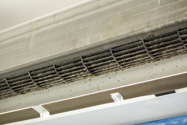 Best Affordable Air Duct Cleaning  in Woodville, MS